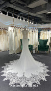 Long Train Lace Bridal Dress