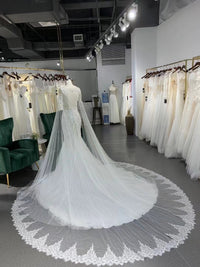 Fashion Mermaid Long Sleeve Lace Wedding Dress